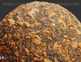 تکسچر جنگل زمینی