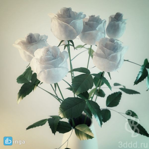 هفت شاخه گل رز