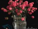 گلدان + گل رز