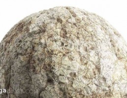 تکسچر سنگ بژ فرسوده
