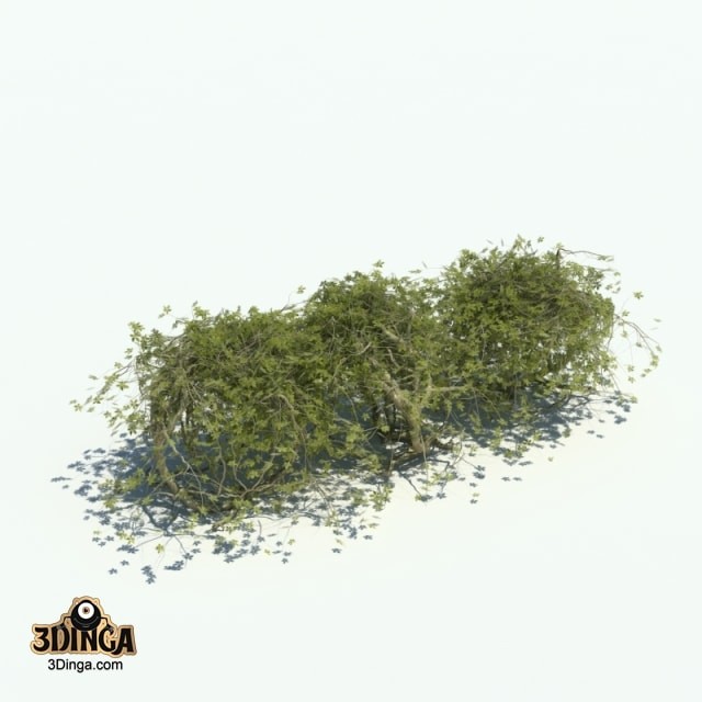 پرچین گیاهی