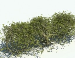 پرچین گیاهی