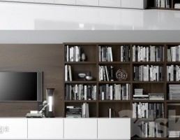 قفسه کتاب + تلویزیون + کمد دیواری