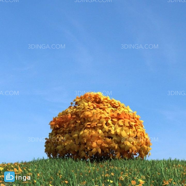 درختچه در فصل پاییز