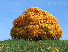 درختچه در فصل پاییز