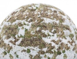 تکسچر چمن پوشیده شده با برف