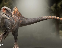 دایناسور Concavenator corcovatus