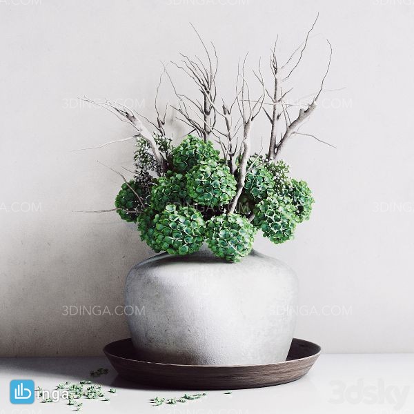 آبجکت گلدان گیاه بونسای Hydrangea Vase