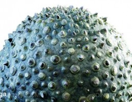 تکسچر پوست موجودات سبز با تیر