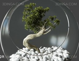 تراریوم بونسای کوچک