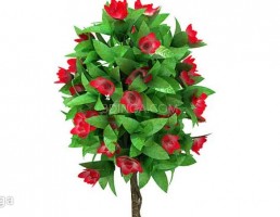 درختچه باغی بهاری