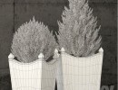 گلدان + گیاهان آپارتمانی