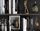 قفسه کتاب + وسایل تزیینی