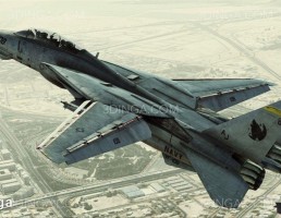 جت جنگنده سوپر تامکت F-14D
