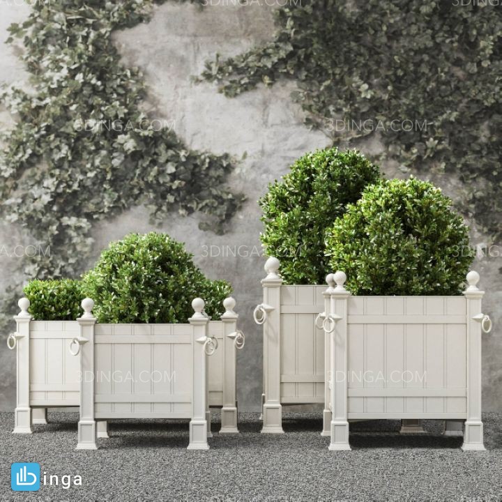 گیاهان + گلدان در فضای باز