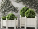 گیاهان + گلدان در فضای باز