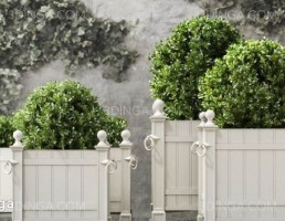 گیاهان + گلدان در فضای باز