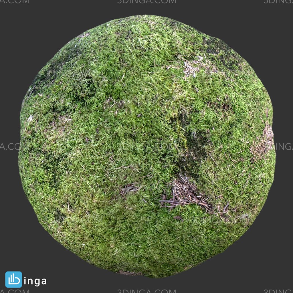 تکسچر صخره خز گرفته