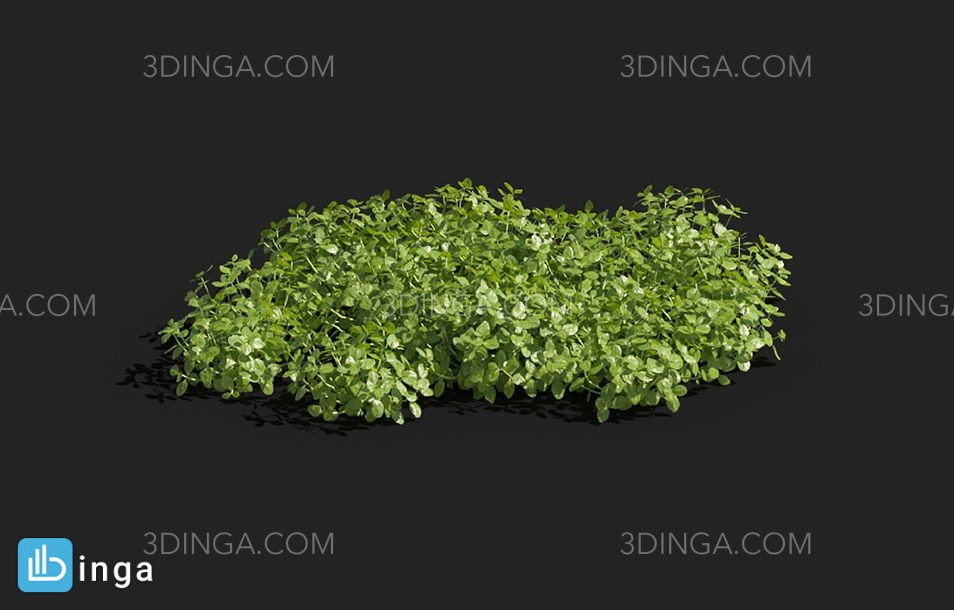 انواع گیاهان بهاری