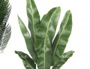 مجموعه گل در گلدان