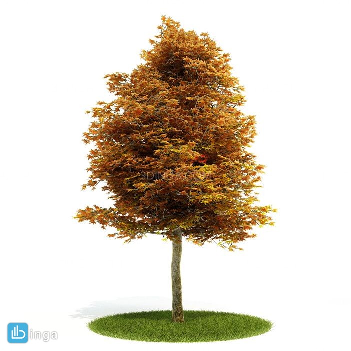 درختان باغی بهاری