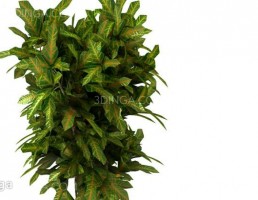 گلدان + گل های طبیعی