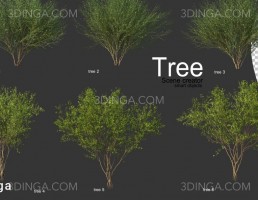پرسوناژ انواع درختان