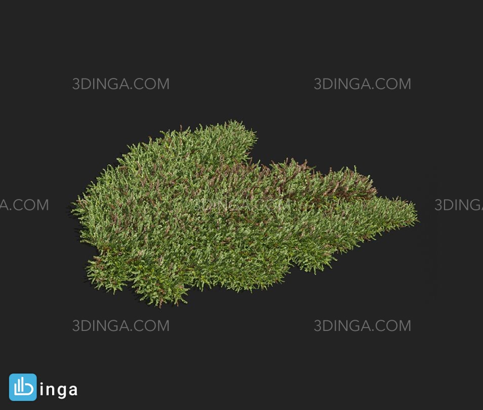 انواع چمن بهاری