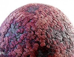 تکسچر پوست ترک خورده موجودات قرمز