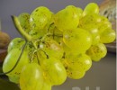 مواد غذایی آشپزخانه
