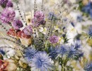 صحنه ایی از گلهای طبیعی