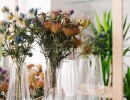 صحنه ایی از گلهای طبیعی
