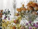 صحنه ایی از گلهای طبیعی