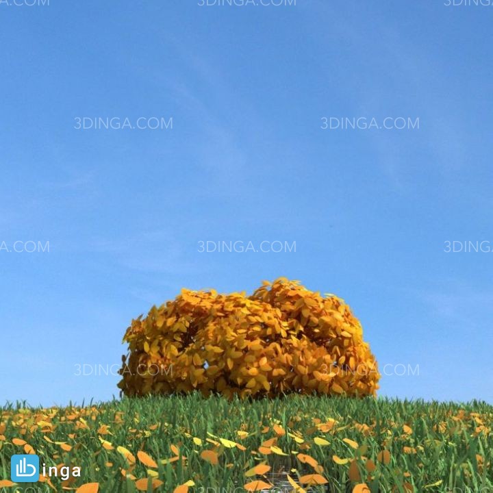 درختچه در فصل پاییز