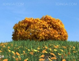 درختچه در فصل پاییز