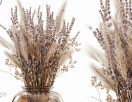 گل های خشک در گلدان مدرن