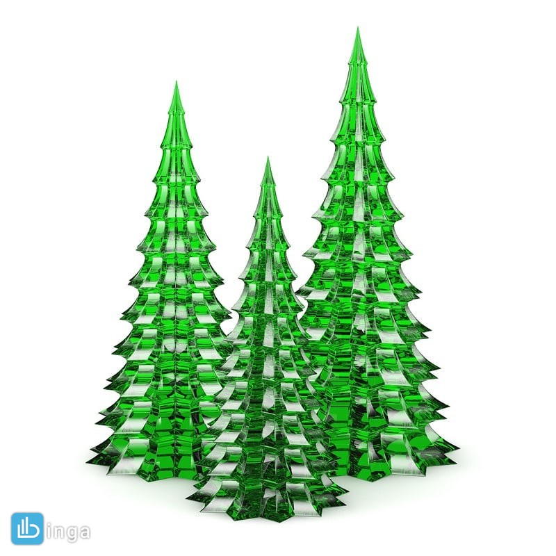 درخت کاج کریسمس