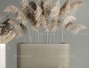 گل های خشک در گلدان