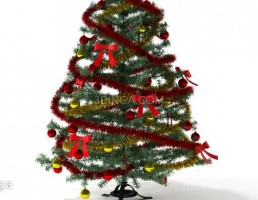 درخت کاج کریسمس