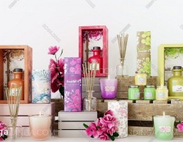 مجموعه ی لوازم آرایشی و بهداشتی