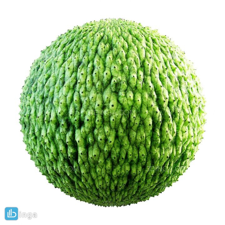 تکسچر پوست موجودات سبز
