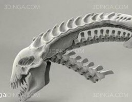 جمجمه دایناسور برای چاپ سه بعدی