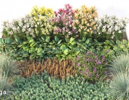مجموعه گیاهان در فضای باز