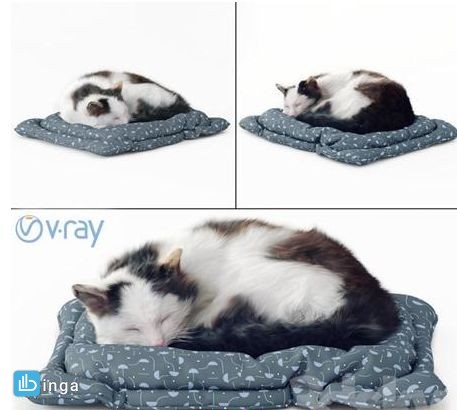 گربه Fluffy