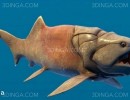 مدل سه بعدی Dunkleosteus