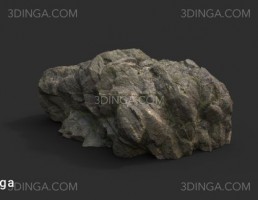 تخته سنگ کویری و جنگلی