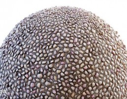 تکسچر پیاده رو
