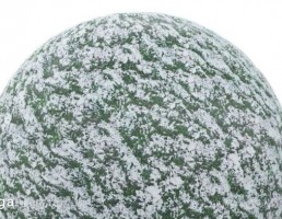 تکسچر چمن پوشیده شده با برف