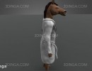 کاراکتر سوارکار Bojack (انیمیشن)