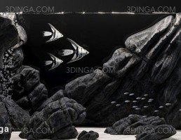آکواریوم مدرن
